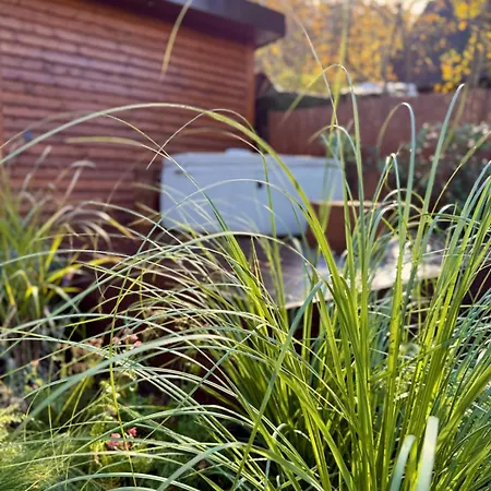 Wellness Trvalka Holiday home Hradistko (Prague-West)